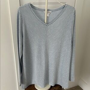 Christopher & Banks Light Blue & White Striped V-Neck Long Sleeve Top